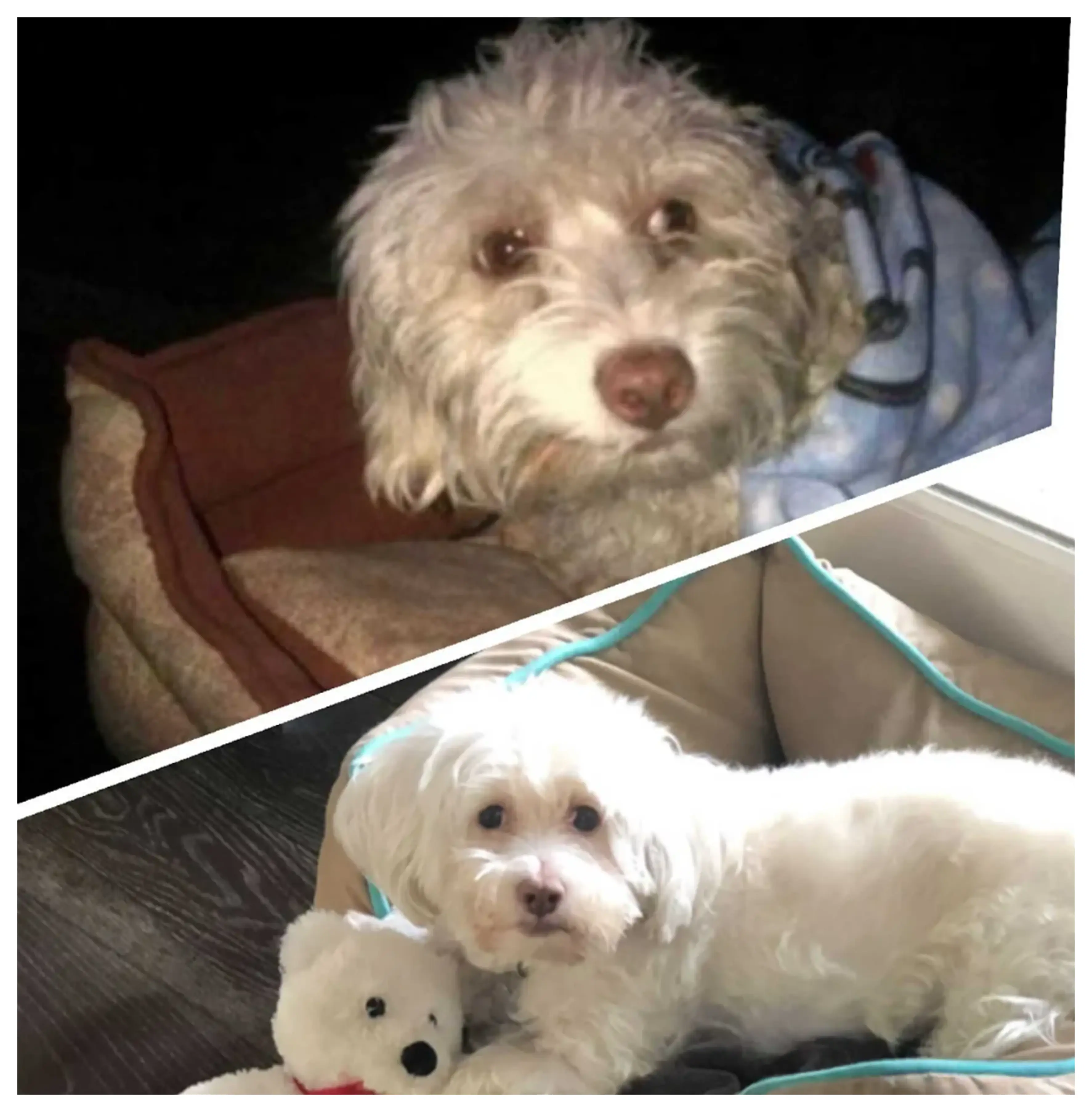 Pawp Water Product 1